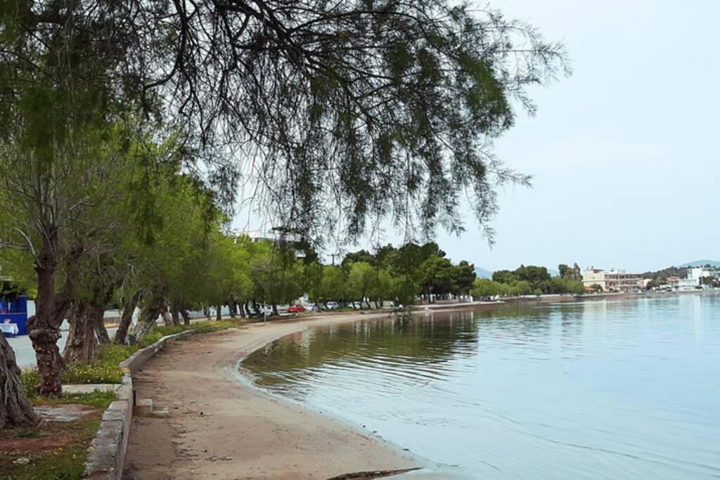 Πολυτελές Διαμέρισμα 3 Χαλκίδα-Παραλία Αυλίδος Paralia Avlidhos Екстер'єр фото