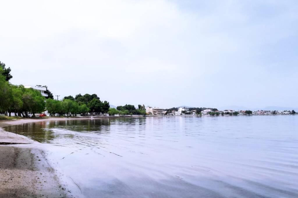 Πολυτελές Διαμέρισμα 3 Χαλκίδα-Παραλία Αυλίδος Paralia Avlidhos Екстер'єр фото